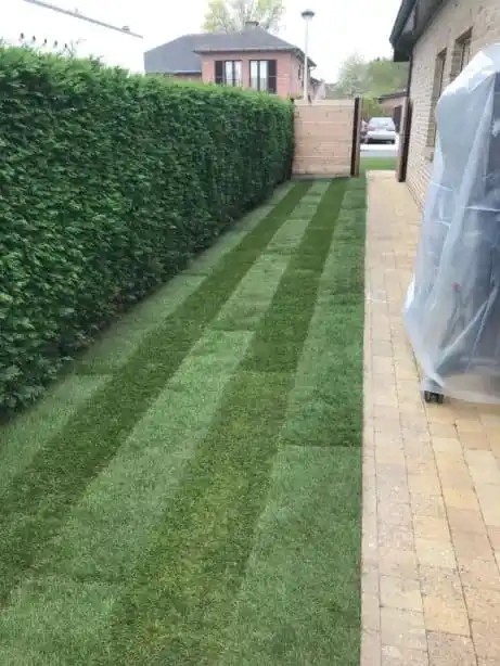 Tuinaanleg & renovatie