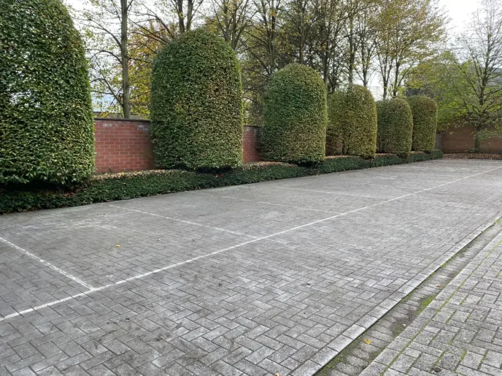 Tuinonderhoud